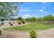 Beautifully landscaped front yard with lush green grass, trees, and colorful bushes creating curb appeal at 14075 W Desert Flower Dr, Goodyear, AZ 85395
