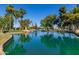 View of the community pond that is surrounded by green grass, trees and palm trees at 14561 W Winding Trl, Surprise, AZ 85374