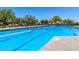 Spacious swimming pool with clear water, surrounded by lounge chairs and umbrellas for a perfect day of relaxation at 1854 W Fetlock Trl, Phoenix, AZ 85085