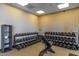 Dedicated weight room with a variety of dumbbells and a bench, ideal for strength training at 1854 W Fetlock Trl, Phoenix, AZ 85085