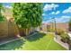 Backyard lawn area with a soccer net under a mature tree, perfect for fun and relaxation at 4960 E Colonial Dr, Chandler, AZ 85249