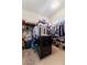 Spacious walk-in closet with clothing racks, shelves, and a dark-wood dresser for ample storage at 5212 S Monte Vista St, Chandler, AZ 85249