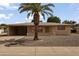 Charming single-story home with a desert-style yard and a mature palm tree in the front at 6217 E Dodge St, Mesa, AZ 85205