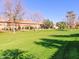 Expansive community green space with mature trees, manicured lawn, and well-kept landscaping at 6359 S Forest Ave, Gilbert, AZ 85298
