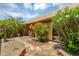 Backyard with landscaped rock garden, patio area, and mature landscaping at 713 W Boxelder Pl, Chandler, AZ 85225