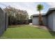 Beautiful backyard with a lush artificial lawn, vibrant flowering bushes, and a mature palm tree at 7201 N 16Th Dr, Phoenix, AZ 85021