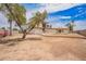 Expansive backyard with a mature tree and plenty of open space at 9803 N 40Th Dr, Phoenix, AZ 85051
