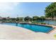 Swimming pool with a built in bar and seating surrounded by lush landscaping overlooking the lake at 1502 E Treasure Cove Dr, Gilbert, AZ 85234