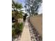 Backyard view of a walkway lined with rocks and desert landscaping at 15226 N 51St St, Scottsdale, AZ 85254
