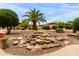 Desert landscaped backyard with mature trees, rocks, and greenery at 19722 N Regents Park Dr, Surprise, AZ 85387