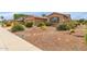 View of the front yard, showcasing the desert landscaping with rocks, cacti, and various desert plants at 19722 N Regents Park Dr, Surprise, AZ 85387