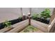 Outdoor garden bed filled with various plants, offering a serene and green space at 2046 E Downing St, Mesa, AZ 85213