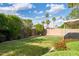 A spacious backyard featuring lush green grass, mature trees, and a block fence for privacy at 2418 E Hermosa Dr, Tempe, AZ 85282