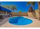 Sparkling backyard pool with patio, palm trees, umbrella, and well-kept surrounding landscape at 24648 N 40Th Ln, Glendale, AZ 85310