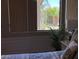 Bedroom with view of desert garden from the window at 30178 N Coral Bean Dr, San Tan Valley, AZ 85143