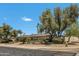 Inviting single-story home featuring mature trees and desert landscaping at 5728 E Sharon Dr, Scottsdale, AZ 85254