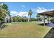 Expansive backyard showcasing lush green grass, palm trees, and a sparkling pool, perfect for outdoor enjoyment at 8034 E Del Caverna Dr, Scottsdale, AZ 85258