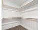 Walk-in closet featuring neutral carpet, white walls, and wooden closet rods at 9855 S 47Th Pl, Phoenix, AZ 85044