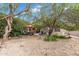 Spacious backyard features gravel, trees, lush foliage, and a dining area at 154 W Hayden Park Rd, San Tan Valley, AZ 85143