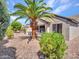 Palm tree and well-maintained desert landscaping in a relaxing backyard at 15539 W La Salinas Ln, Surprise, AZ 85374
