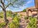 Gorgeous desert landscaping defines this backyard, complete with mature trees and covered patio at 41318 N Belfair Way, Anthem, AZ 85086