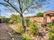 Expansive backyard with lush desert landscaping, rock features, and patio views in the distance at 41318 N Belfair Way, Anthem, AZ 85086