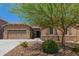 Charming single-story home with a two-car garage, desert landscaping, and a stone accent wall at 10502 W Bronco Trl, Peoria, AZ 85383