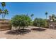 Well-maintained backyard featuring citrus trees and plenty of space for outdoor living at 6051 E Ensenada St, Mesa, AZ 85205