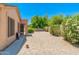 Expansive gravel backyard with lush flowering bushes, desert landscaping, and a covered patio area at 6180 W Oraibi Dr, Glendale, AZ 85308