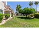 Well maintained backyard with green grass and trees at 8270 N Hayden Rd # 2041, Scottsdale, AZ 85258