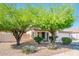A beautifully landscaped front yard with mature trees, shrubs and desert landscaping for easy maintenance at 9735 W Kirby Ave, Tolleson, AZ 85353