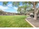 Large backyard with lush green grass, mature trees, and a covered patio at 1233 E El Camino Dr, Phoenix, AZ 85020