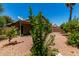 Charming backyard with desert landscaping, block wall fence, and mature trees at 13861 W Elm St, Surprise, AZ 85374
