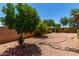 Backyard featuring mature landscaping and block wall fence for added privacy at 13861 W Elm St, Surprise, AZ 85374