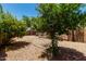 Private backyard featuring desert landscaping, block wall fencing, and a covered patio at 13861 W Elm St, Surprise, AZ 85374