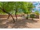 Large backyard with mature trees, desert landscaping, and privacy wall, creating a serene outdoor oasis at 29161 N Lilly Ln, San Tan Valley, AZ 85143