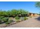 Stunning desert landscaping enhances this home's curb appeal, set against a clear blue sky at 35443 N 87Th Pl, Scottsdale, AZ 85266