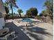 Private backyard with a pebble landscape and inviting pool at 3933 E Flower St, Phoenix, AZ 85018