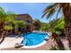 Backyard pool with cool blue water surrounded by mature palm trees and rock features at 408 E Silverwood Dr, Phoenix, AZ 85048