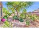 Lush backyard garden with thriving plants and vegetable beds at 4323 S Ranger Trl, Gilbert, AZ 85297
