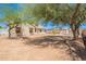 Expansive backyard featuring a storage shed, and mature trees, offering a blend of functionality and outdoor living at 12613 N 51St Dr, Glendale, AZ 85304