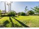 Expansive backyard featuring lush green grass and mature palm trees offering shade at 2107 E Park Ave, Gilbert, AZ 85234