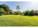Lush green backyard with mature trees, offering a serene and private outdoor space at 2107 E Park Ave, Gilbert, AZ 85234