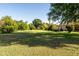 Expansive backyard with mature trees, offering a serene and private outdoor space at 2107 E Park Ave, Gilbert, AZ 85234