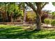 Charming front yard featuring mature trees and lush greenery, creating a peaceful and inviting atmosphere at 2107 E Park Ave, Gilbert, AZ 85234