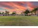 Lush green park showcasing mature trees, well-maintained grounds, and inviting space for recreation at 2343 E Morelos St, Chandler, AZ 85225