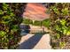 Beautiful pool surrounded by lush greenery, offering a private and tranquil backyard oasis at 2343 E Morelos St, Chandler, AZ 85225