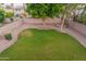 Landscaped backyard featuring lush lawn, mature trees, and block fence at 2421 W Indigo Dr, Chandler, AZ 85248