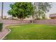 Picturesque backyard featuring lush green lawn, mature trees, and block fence at 2421 W Indigo Dr, Chandler, AZ 85248