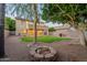 Oversized backyard with fire pit and mature trees providing ample shade at 2421 W Indigo Dr, Chandler, AZ 85248